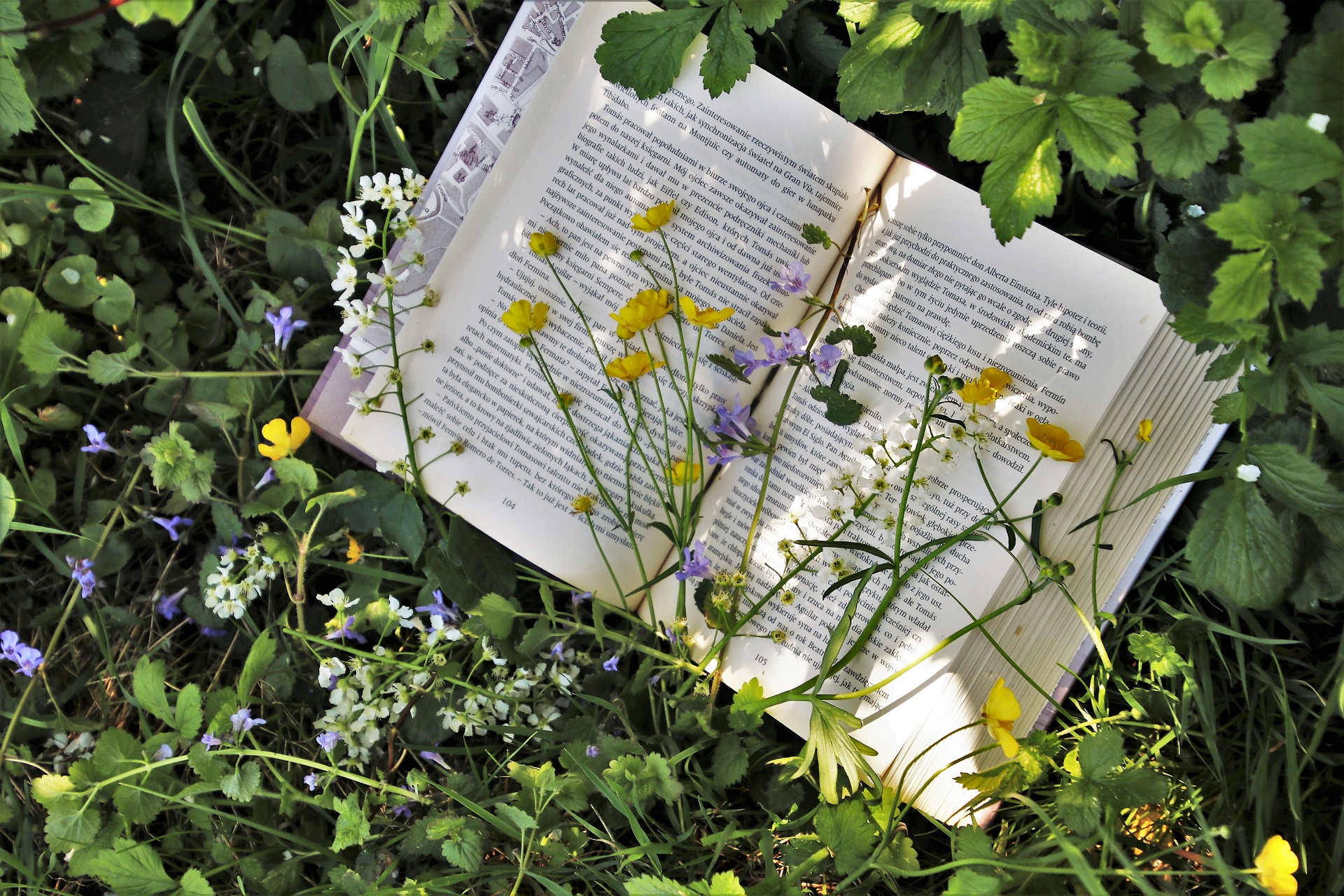 Gruppo di lettura per adulti