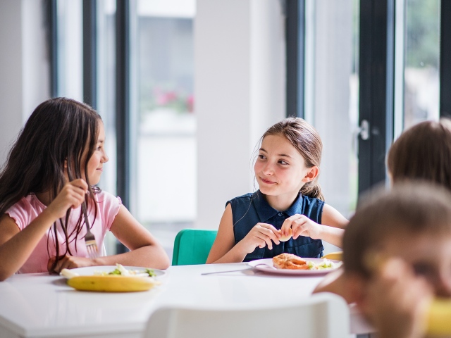 Indicazioni transitorie sul servizio mensa per gli alunni delle scuole di Roncade